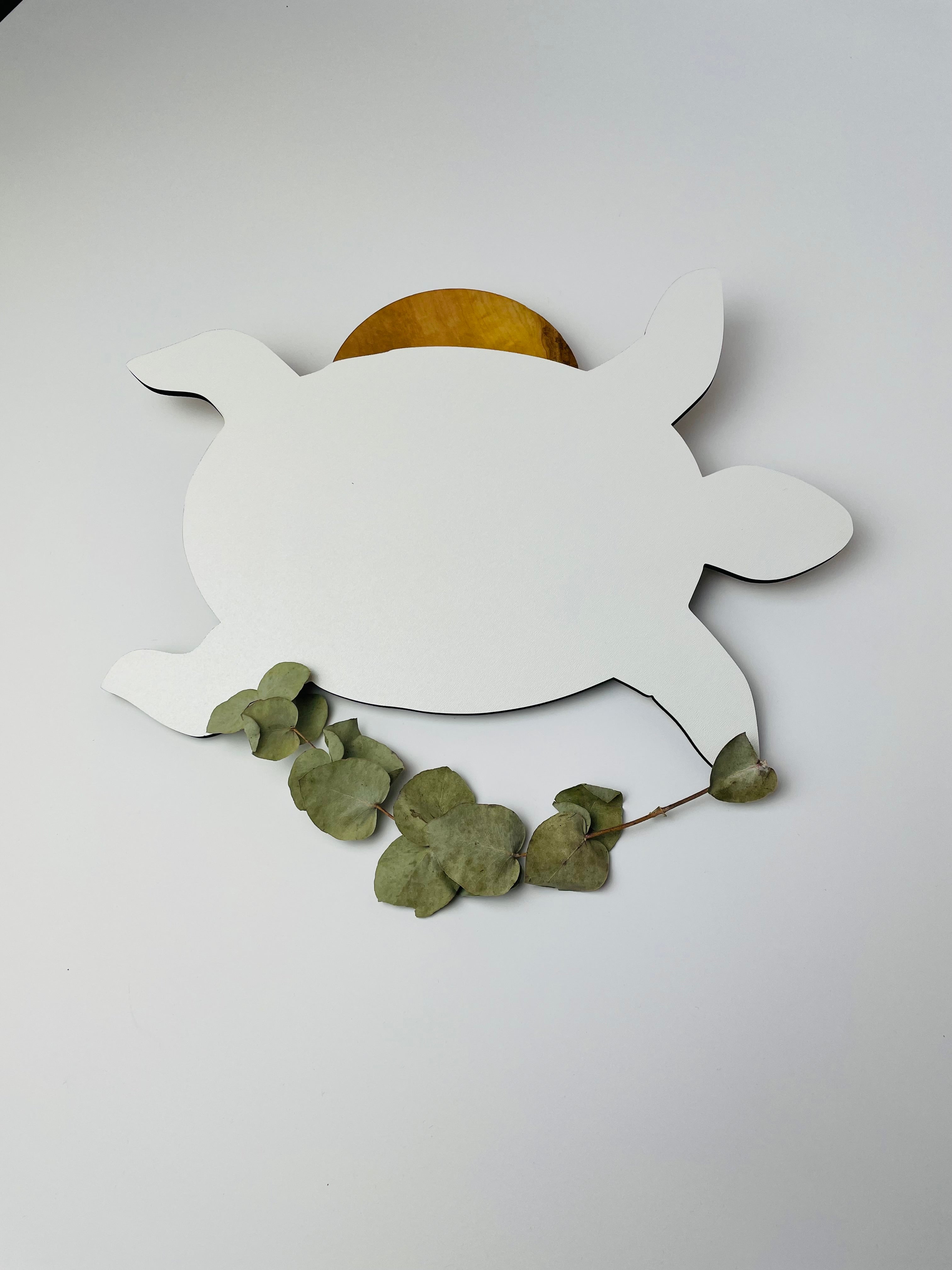 Artboard "Schildkröte"